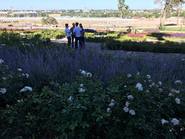 El nuevo Parque del Chateau abrió sus puertas