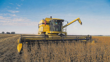 La Bolsa de Cereales de Córdoba estima una cosecha "promedio" tras las lluvias