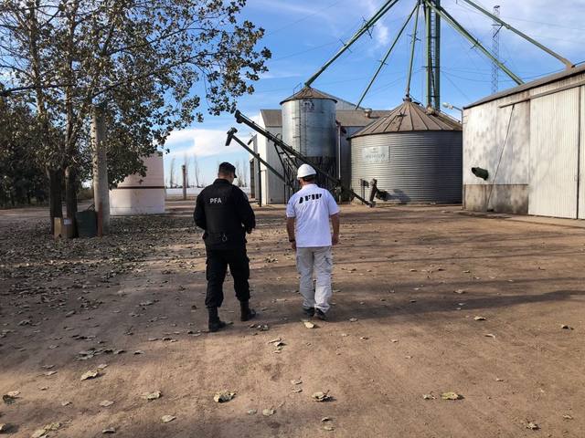 Decomisan casi 650 toneladas de soja sin declarar en Córdoba