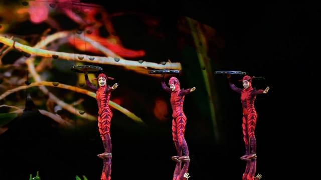 Reprograman las funciones del Cirque du Soleil en Córdoba