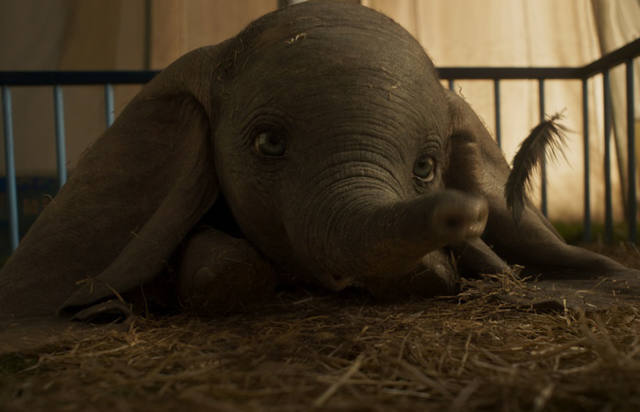 Disney revive el clásico Dumbo, con actores de carne y hueso