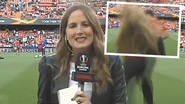 Una periodista recibió un pelotazo en la previa a un partido