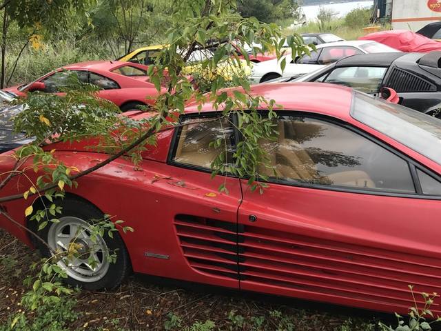 FOTO: Encuentran una colección de Ferraris abandonadas en un campo