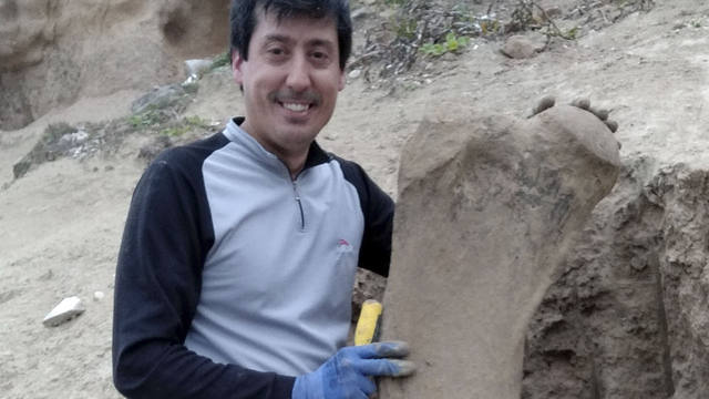 FOTO: Hallan restos fósiles de un perezoso gigante de 500 mil años