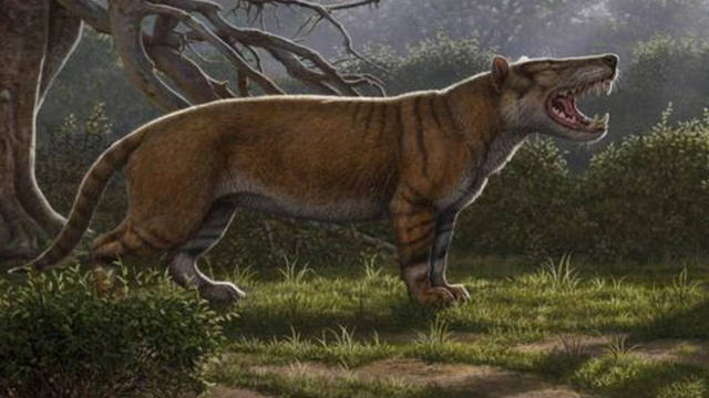 FOTO: Hallan restos de un león gigante prehistórico en Kenia