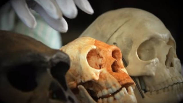 Hallan fósiles de una nueva especie humana en Filipinas