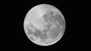 La segunda Superluna del año iluminó la madrugada