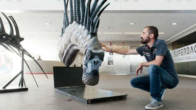 Pablo Gallina - Descubren nueva especie de dinosaurio