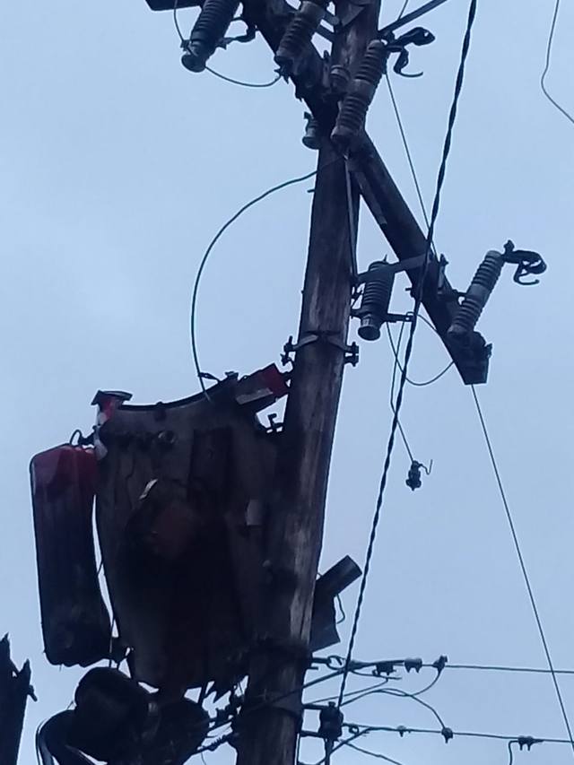 Centella en La Playa