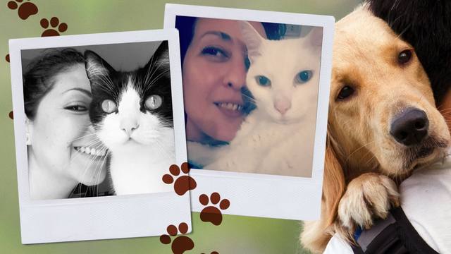 De cada 10 argentinos, ocho dicen que hablan con su mascota