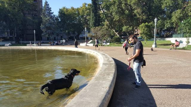FOTO: Otro día de calor en Córdoba: la térmica rozó los 42 grados