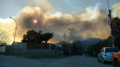 Investigan las causas del incendio forestal en San Luis