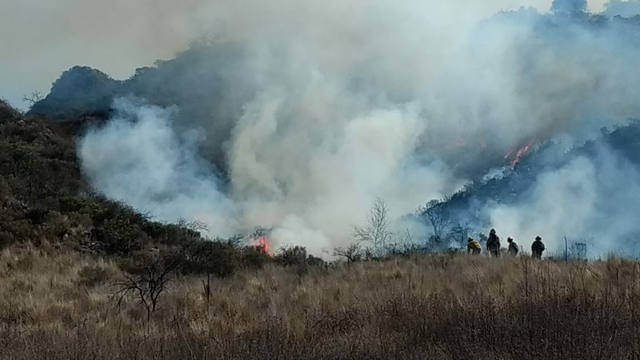 FOTO: Investigan las causas del incendio forestal en San Luis