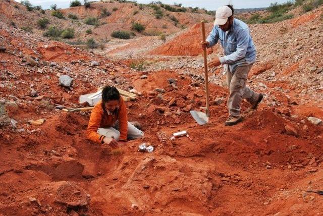 San Juan: hallan al dinosaurio gigante más antiguo del mundo