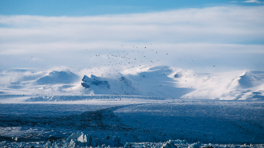 AUDIO: La Antártida tendría la temperatura más baja del planeta