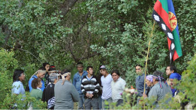 Un grupo de mapuches ocupó tierras de Ginóbili en el sur