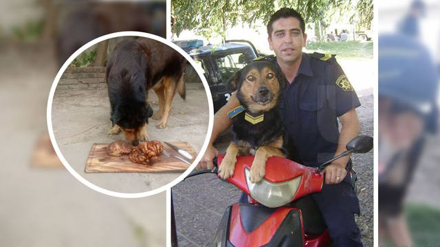 Fausto Valenzuela homenajeó con un asado a Rocko.