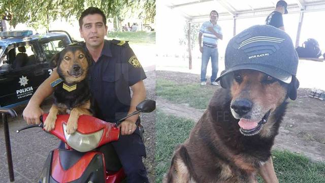 Fausto Valenzuela homenajeó con un asado a Rocko.