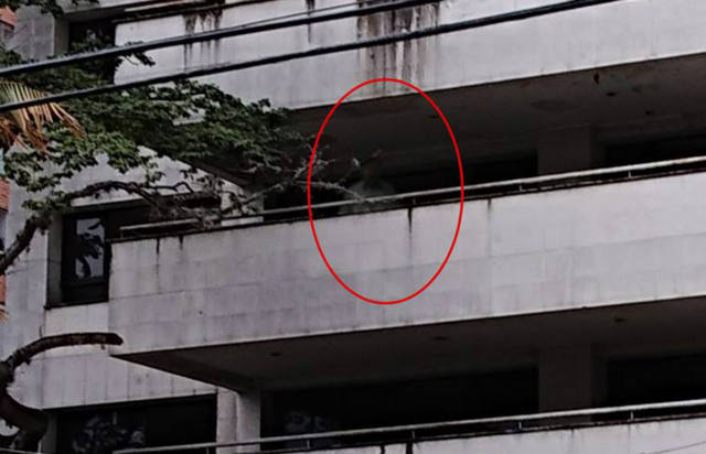 La foto que causa asombro.