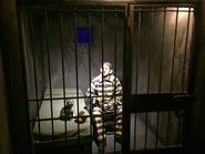 El pasado cobra vida en el Museo de la Historia Fueguina