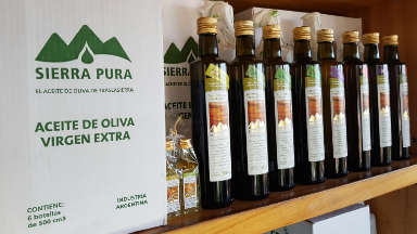 La premiada fábrica de aceite de oliva de Luyaba