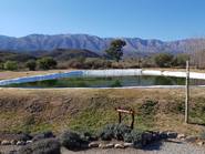 La premiada fábrica de aceite de oliva de Luyaba