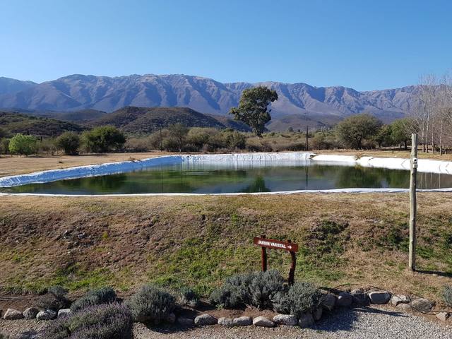 La premiada fábrica de aceite de oliva de Luyaba