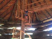 Aripuca, el parque que concientiza sobre la tala de árboles