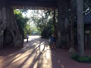 Aripuca, el parque que concientiza sobre la tala de árboles