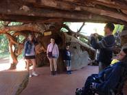 Aripuca, el parque que concientiza sobre la tala de árboles