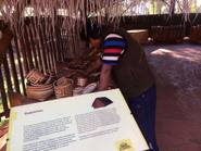 Aripuca, el parque que concientiza sobre la tala de árboles