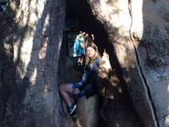 Aripuca, el parque que concientiza sobre la tala de árboles