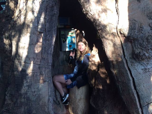 Aripuca, el parque que concientiza sobre la tala de árboles