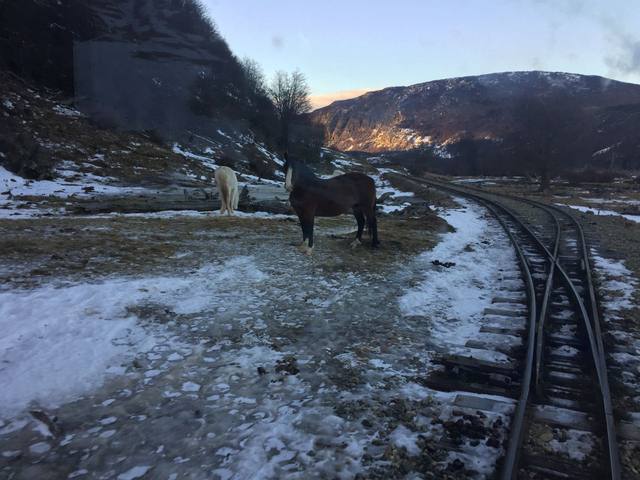 FOTO: El tren del Fin del Mundo, un viaje inolvidable en Ushuaia