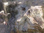 Minas de Wanda, visita obligada en Iguazú