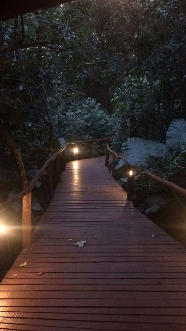 FOTO: Una experiencia naturista en el hotel La Aldea de la Selva
