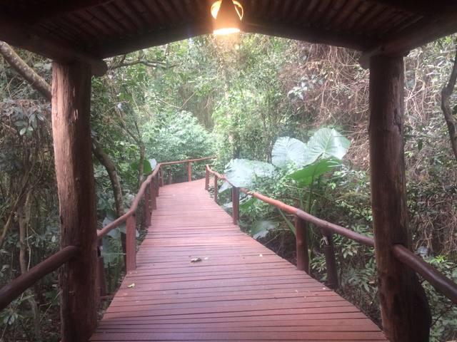 FOTO: Una experiencia naturista en el hotel La Aldea de la Selva