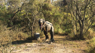 Reserva Tara Inti, para conectarse con la naturaleza