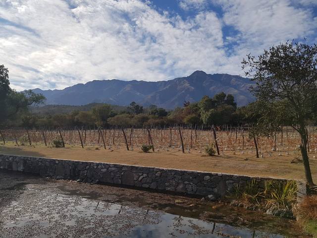 FOTO: Finca El Tala, integrante de la ruta del vino en Córdoba
