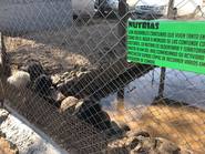 En familia, le dan vida a