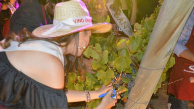 Una multitud disfrutó de la Fiesta de la Cosecha en Mendoza