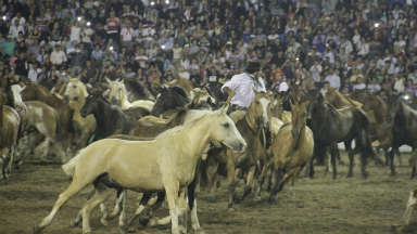 Las tropillas entabladas, protagonistas en Jesús María