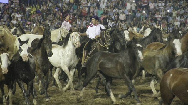 Tropillas entabladas