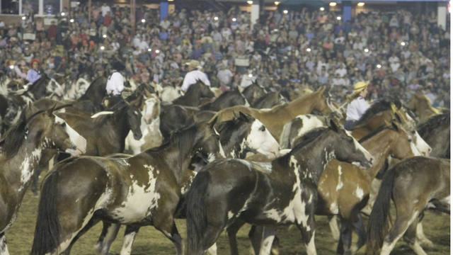 Tropillas entabladas en Jesus María