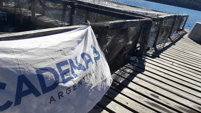 Cría y reproducción de truchas a orillas del lago Moreno