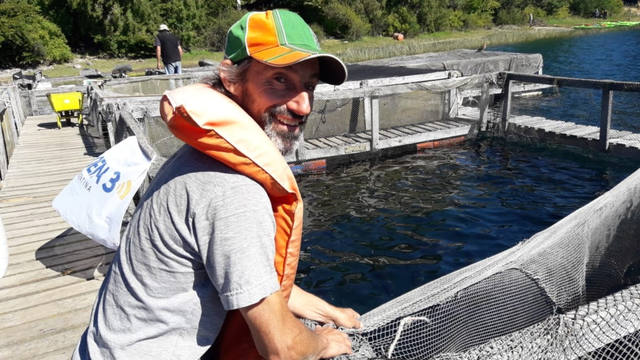 Cría y reproducción de truchas a orillas del lago Moreno