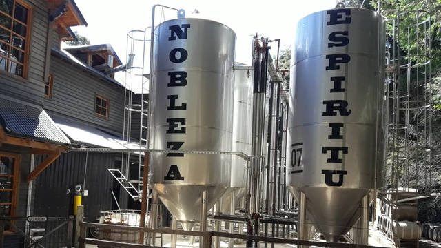 Así es por dentro Berlina, la casa de