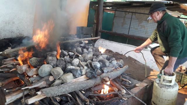 Cocción del curanto, tradición milenaria en Colonia Suiza