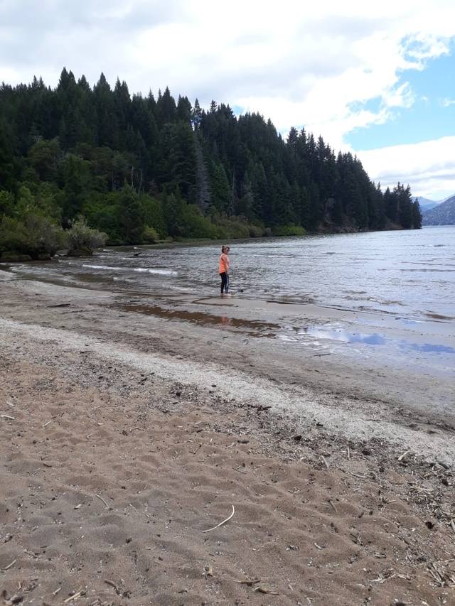 Bosque de Arrayanes y la verdad sobre la leyenda de Bambi