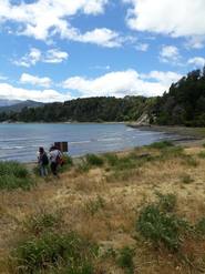 Bosque de Arrayanes y la verdad sobre la leyenda de Bambi